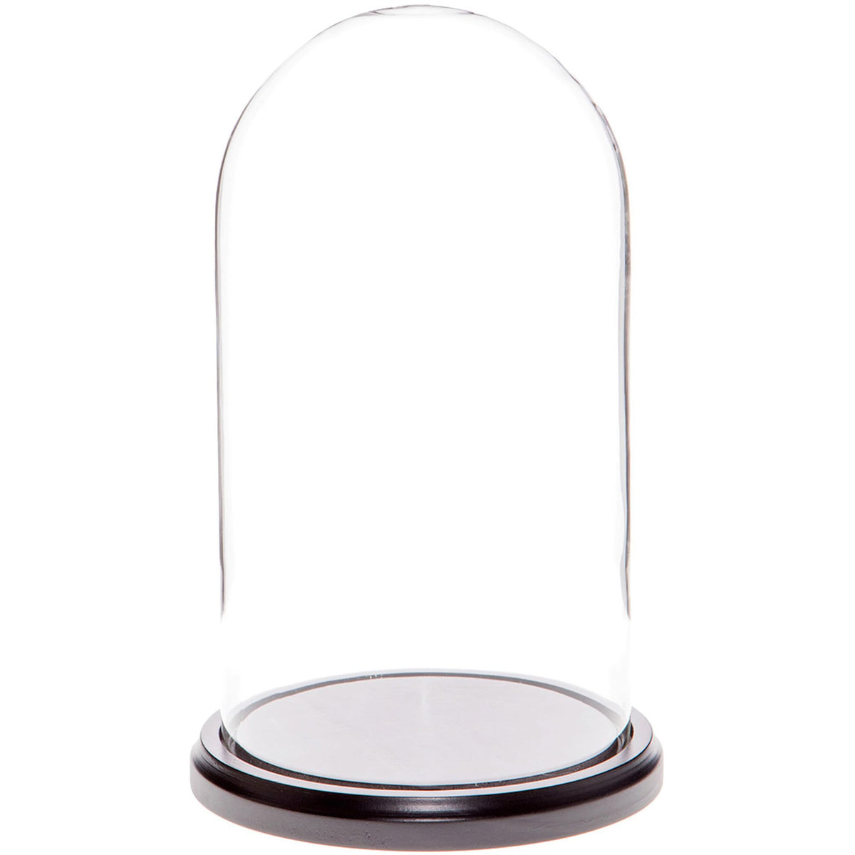 Plymor 5.5" x 10" Glass Display Dome Cloche (Black MDF Wood Base)