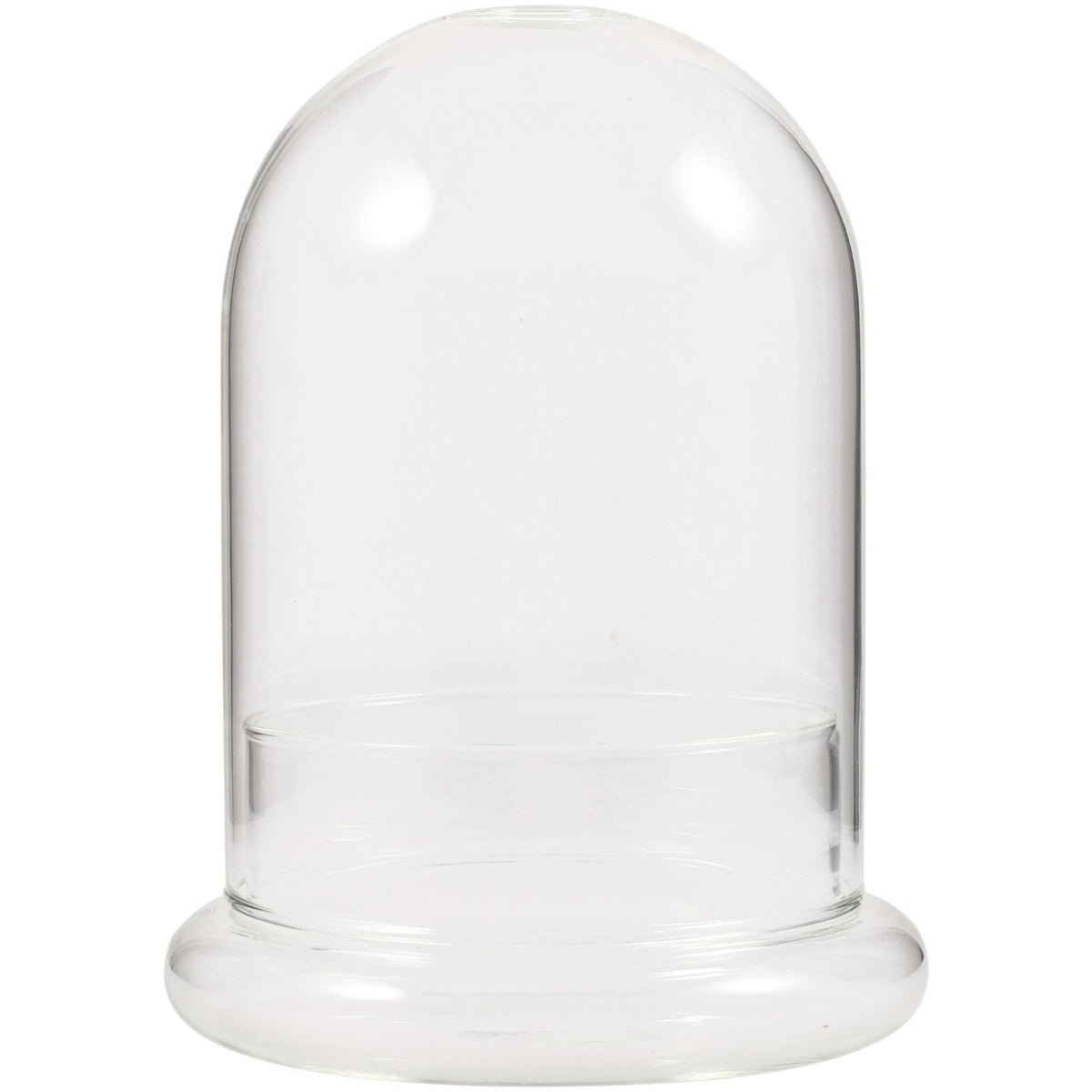 HOLIDYOYO Landscape Terrarium Bottle Glass Display Jar for Plant Arrangements for Home Office Garden Decor