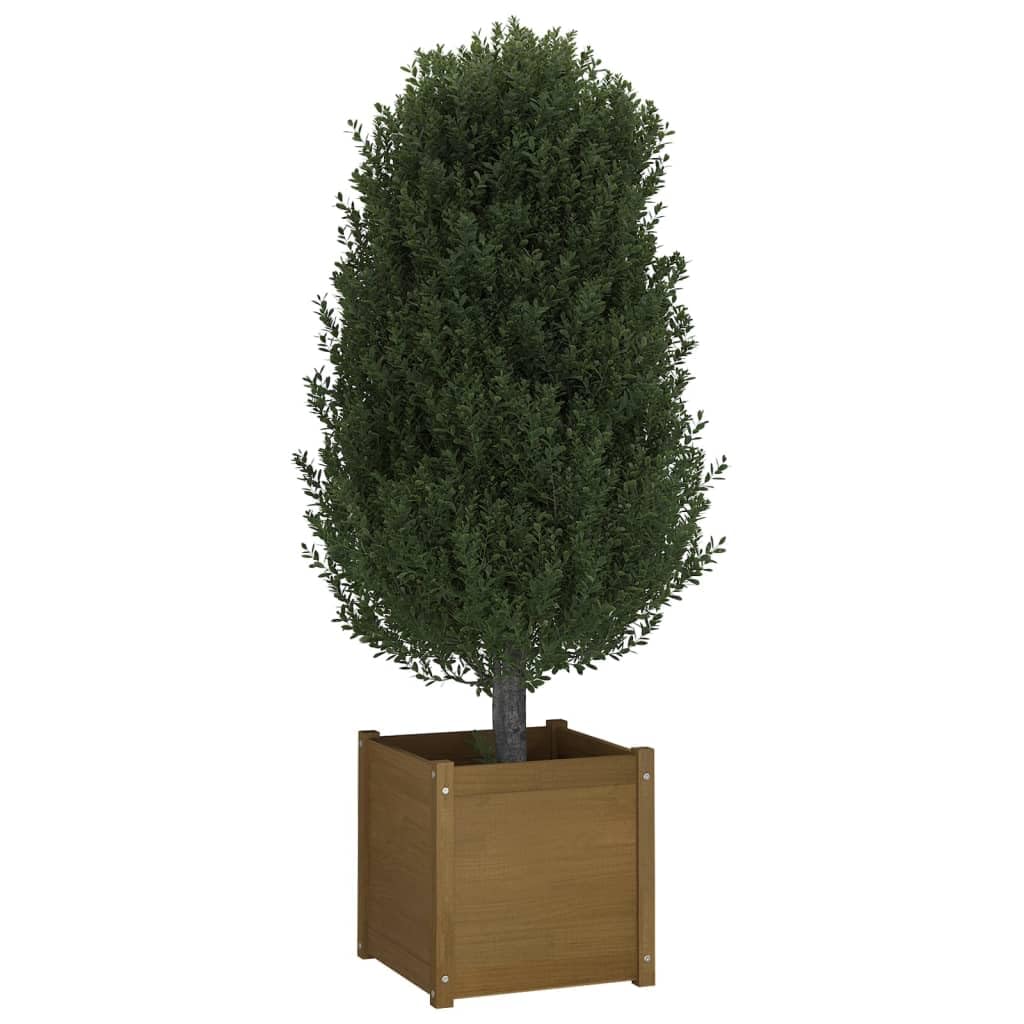 Xolmizyn Square Garden Planter Box, 19.7-inch Solid Pinewood Raised Bed for Flowers and Herbs, Decorative Honey Brown Wood Container for Patio, Balcony, and Terrace Decor