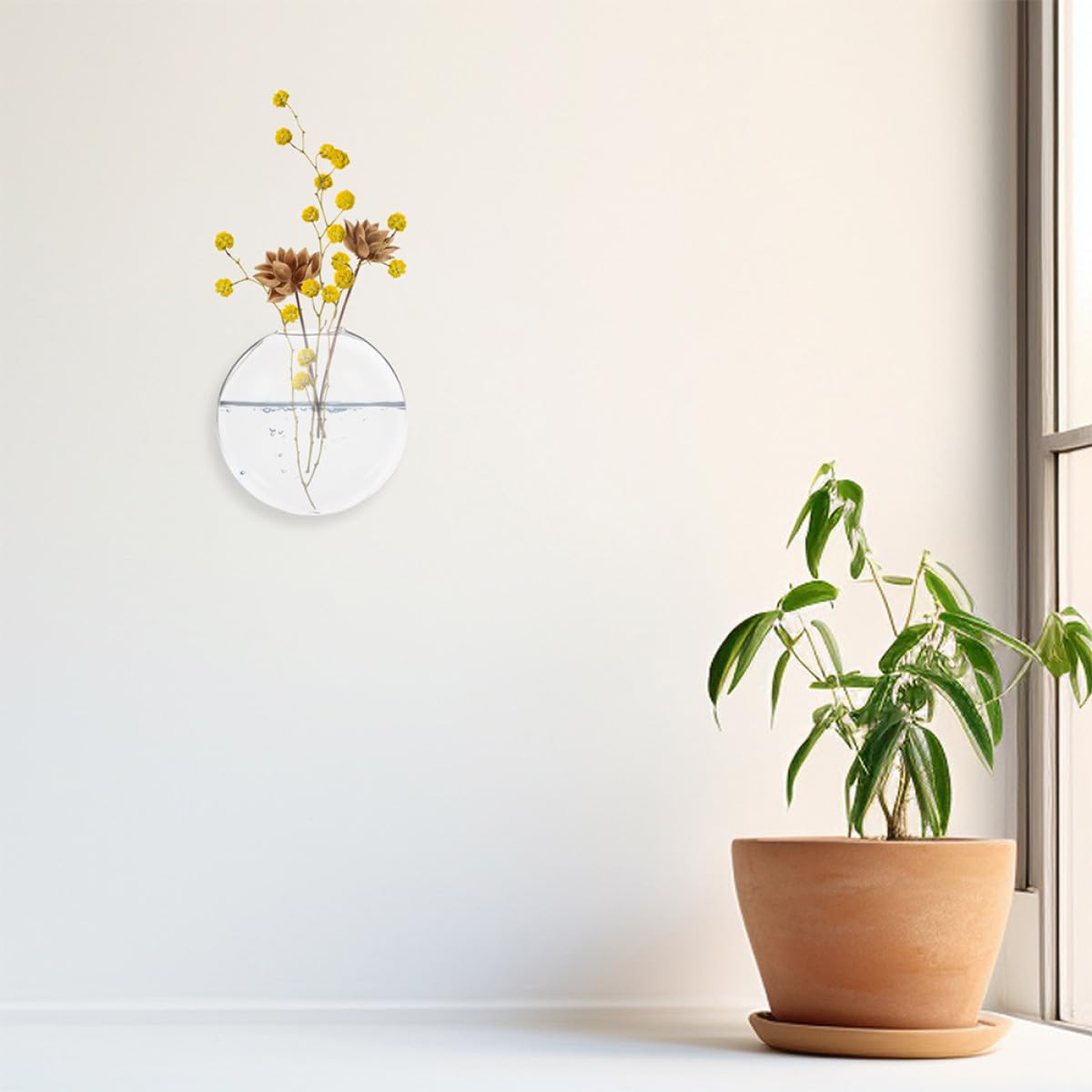 NUOBESTY Wall Hanging Glass Vase for Indoor Plants Hydroponic Glass Terrarium Planter Decor Set of 6 for Home Office Gardening