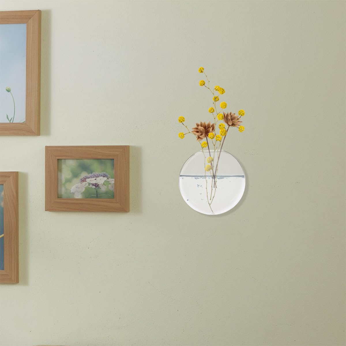 PRETYZOOM 6pcs Wall Hanging Glass Plant Pots Hydroponic Terrarium Vases for Home Décor and Indoor Plant Propagation