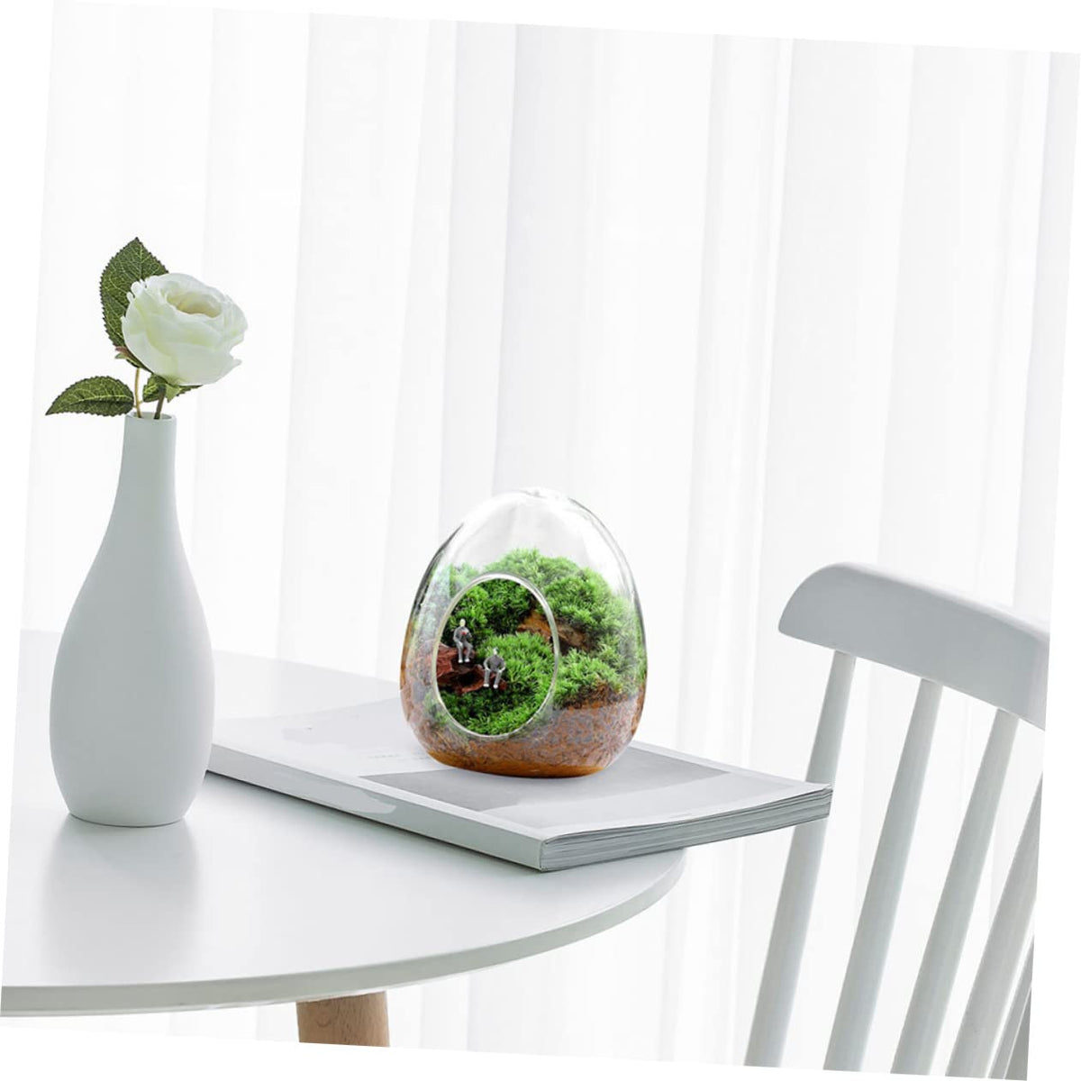 BESPORTBLE Glass Plant Bottle Decorative Micro Landscaping Air Plant Terrarium for Home