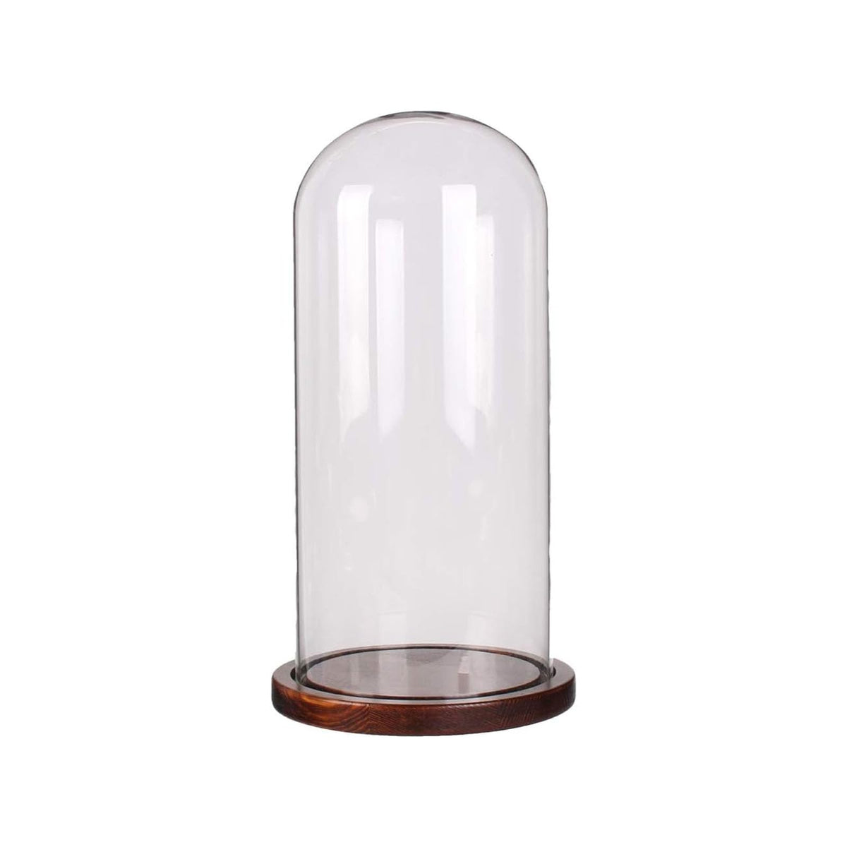 PTAHAN Glass Cloche Dome with Coffee Wood Base - 4.7" x 11" Display Case for Terrariums, Collectibles & Home Decor, Glass Dome Cloche with Natural Wood Base, Bell Jar Display Cover