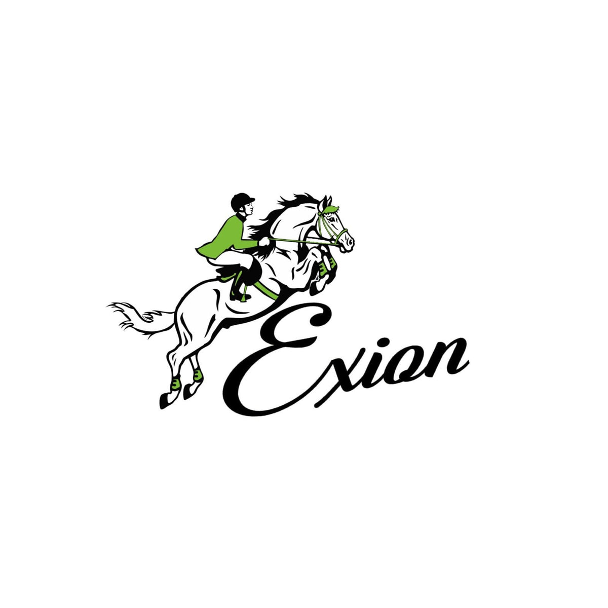 Exion Comfort Lined Anatomic Shape Mono Crown Piece Designer Fancy Stitched Perfect Square Raised Double Buckle Adjustable Figure 8 Noseband Jumping Bridle with Rubber Reins | Royal English Bridle