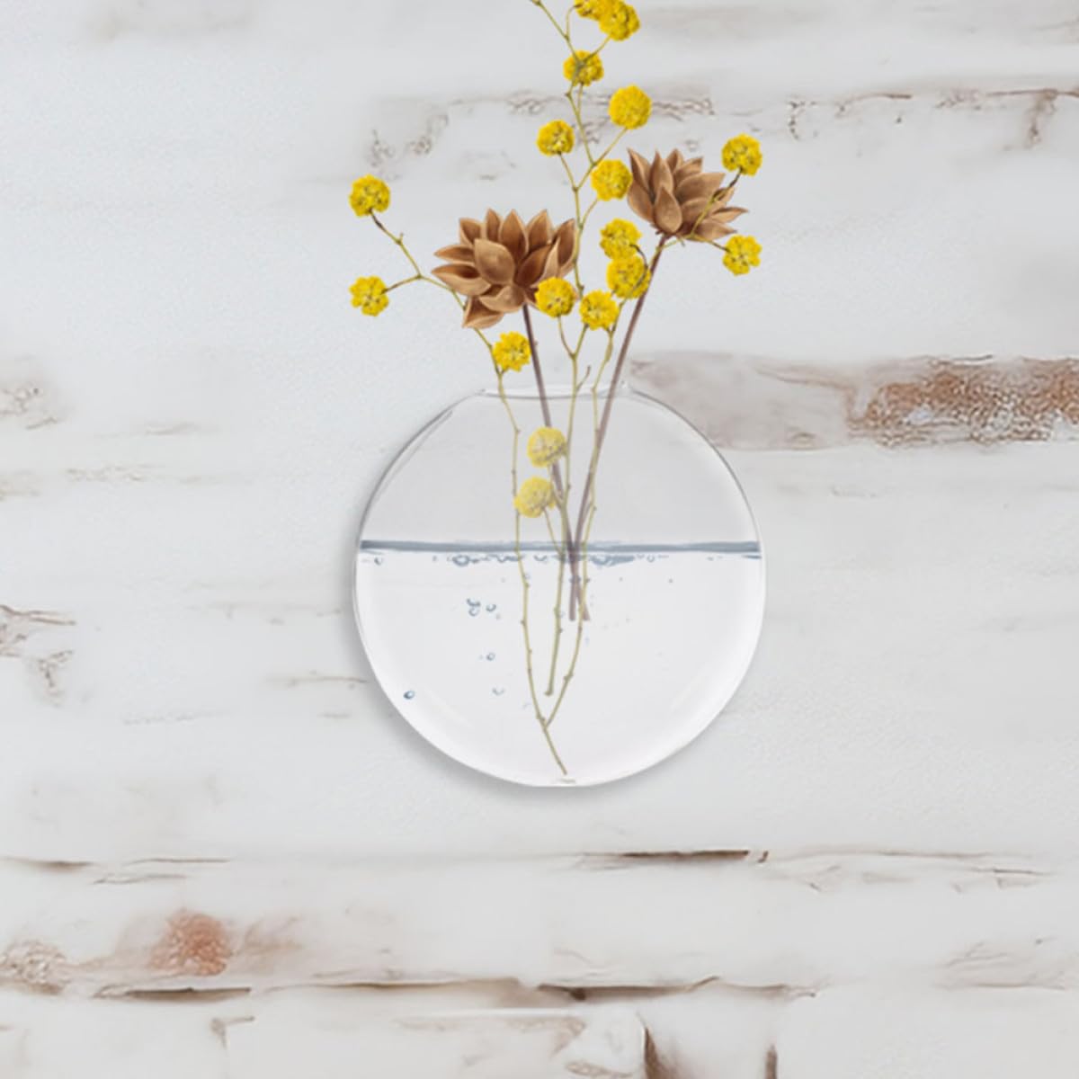 SEWACC 2pcs Glass Wall Hanging Flower Vase for Plants, Hydroponic Decorative Container, Indoor Wall-Mounted Terrarium Vase for Home and Office Décor