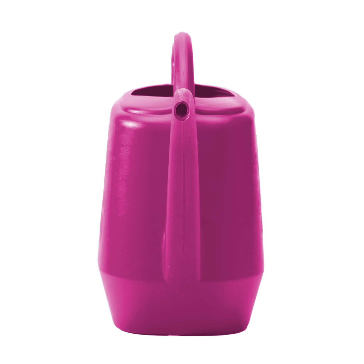 Bloem Aqua Rite 56 Fl Oz Plastic Watering Can - Indoor & Outdoor, Narrow Spout, Comfortable Dual Handles for Flowers & Houseplants, Fuchsia