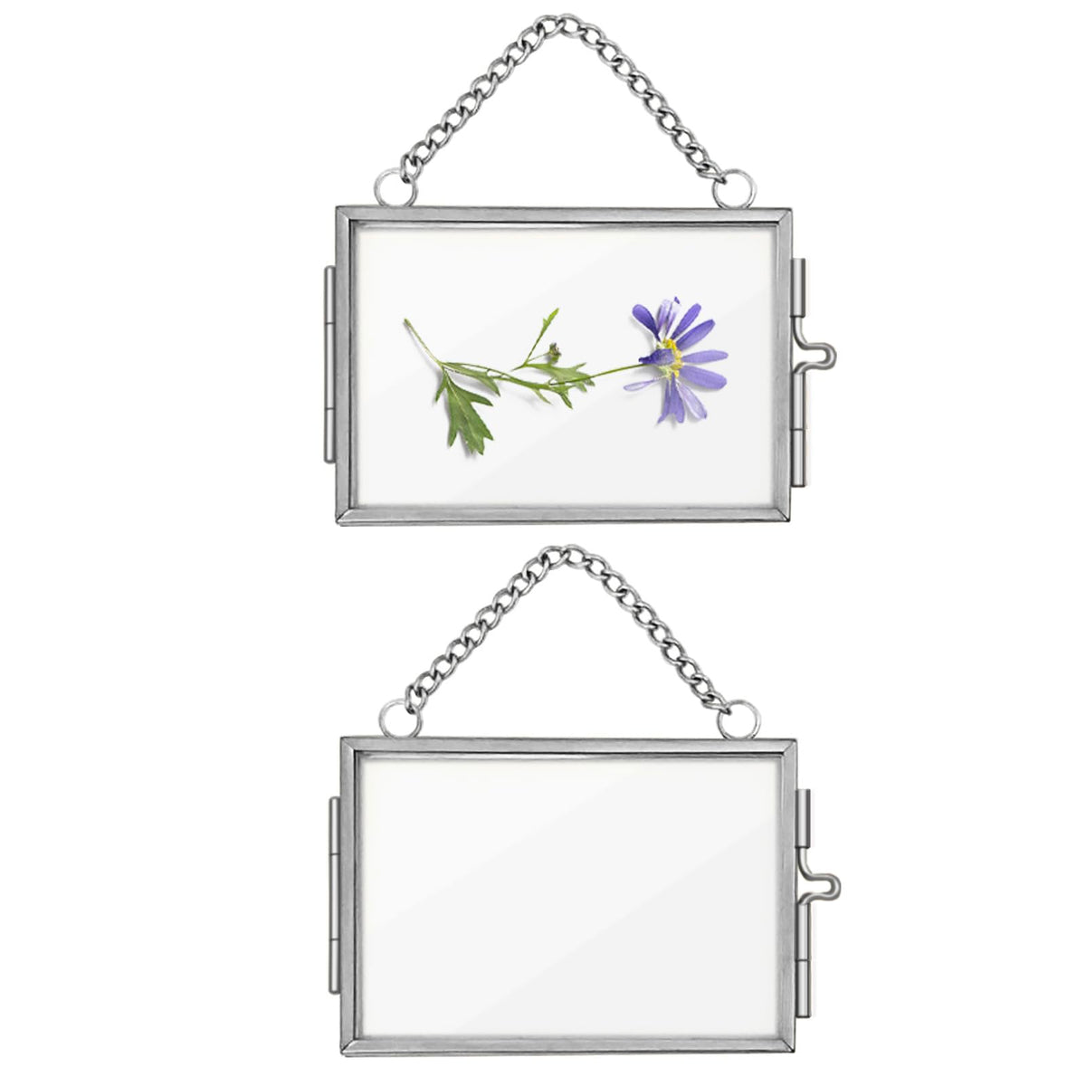 2Pcs Double Glass Frame for Pressed Flowers, 2x3 inch Picture Frame Mini Brass Wall Hanging Photo Frames Floating Frame with Chain for Plant Specimen Artwork Display Home Wall Decor (Silver, Horizontal)