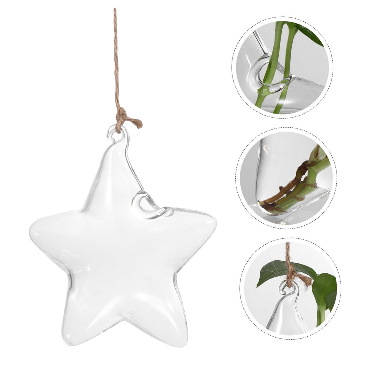 LIOOBO Terrarium Star Vase Elegant Hanging Planter for Home Office for Plant Lovers