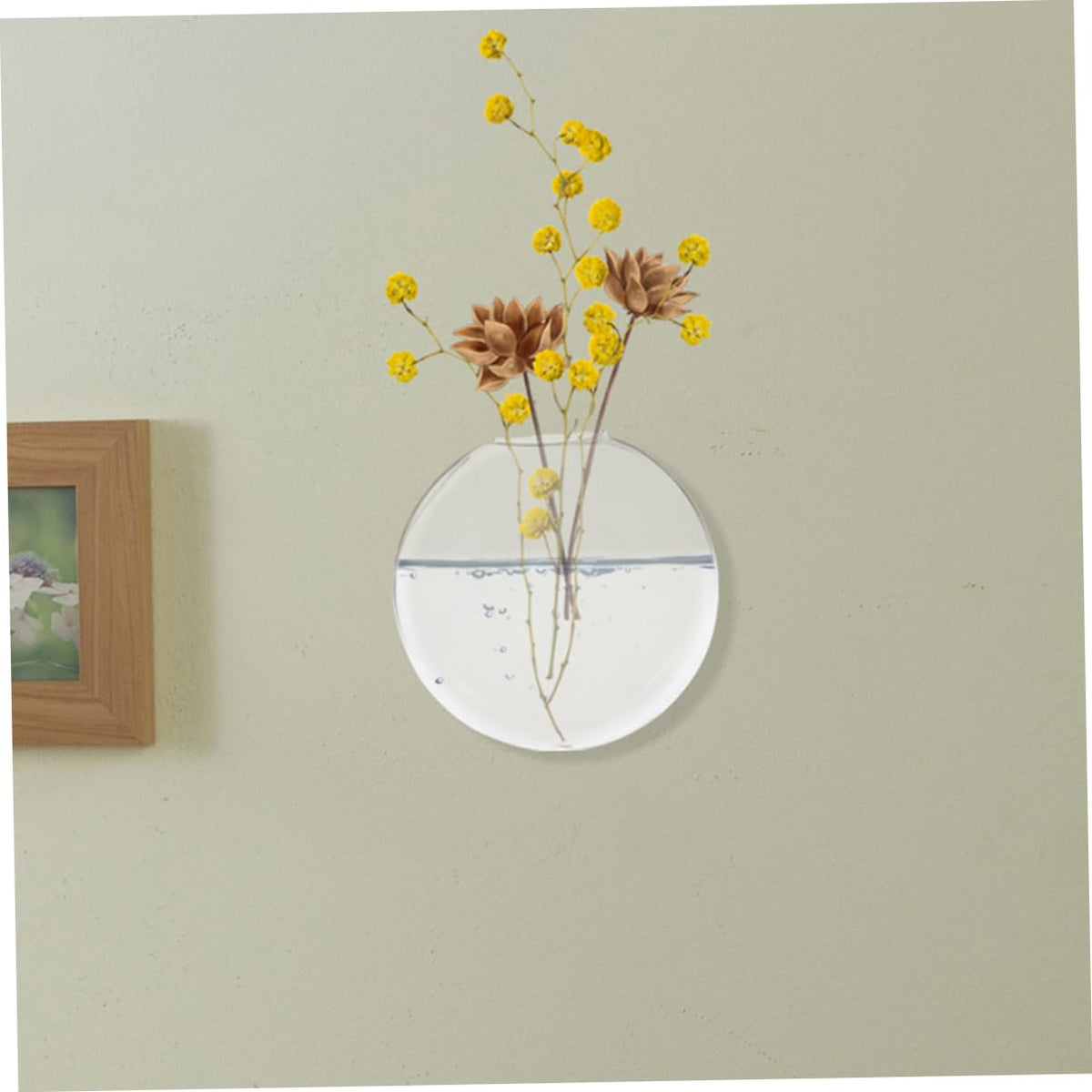 Mobestech 2pcs Glass Flower Vase Wall Mount Hydroponic Wall Plant Terrarium Decorative Hanging for Indoor Plants