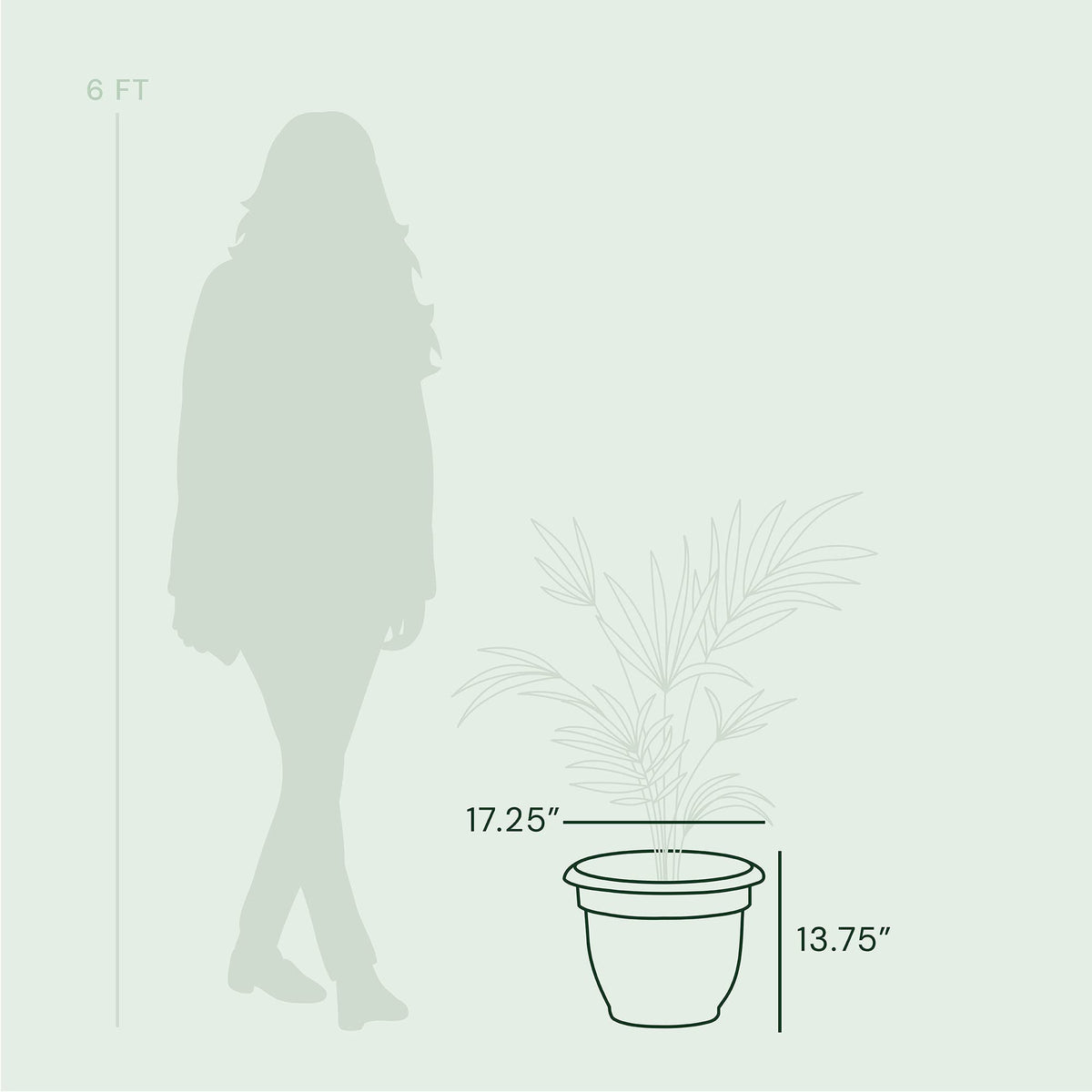 Bloem Ariana Self Watering Planter: 16" - Chocolate - Durable Resin Pot, for Indoor and Outdoor Use, Self Watering Disk Included, Gardening, 6 Gallon Capacity