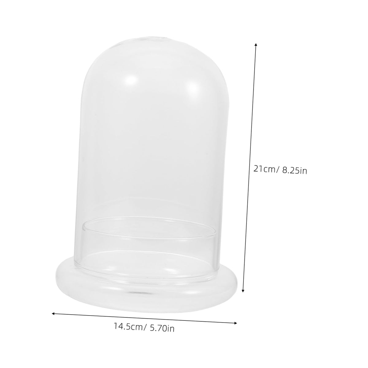 IWOWHERO Micro Landscape Vase Flower Vase Small Glass Terrarium Desktop Glass Terrarium Tabletop Aquarium Tank Micro Landscape Bottle Plant Holder High Borosilicate Glass Transparent