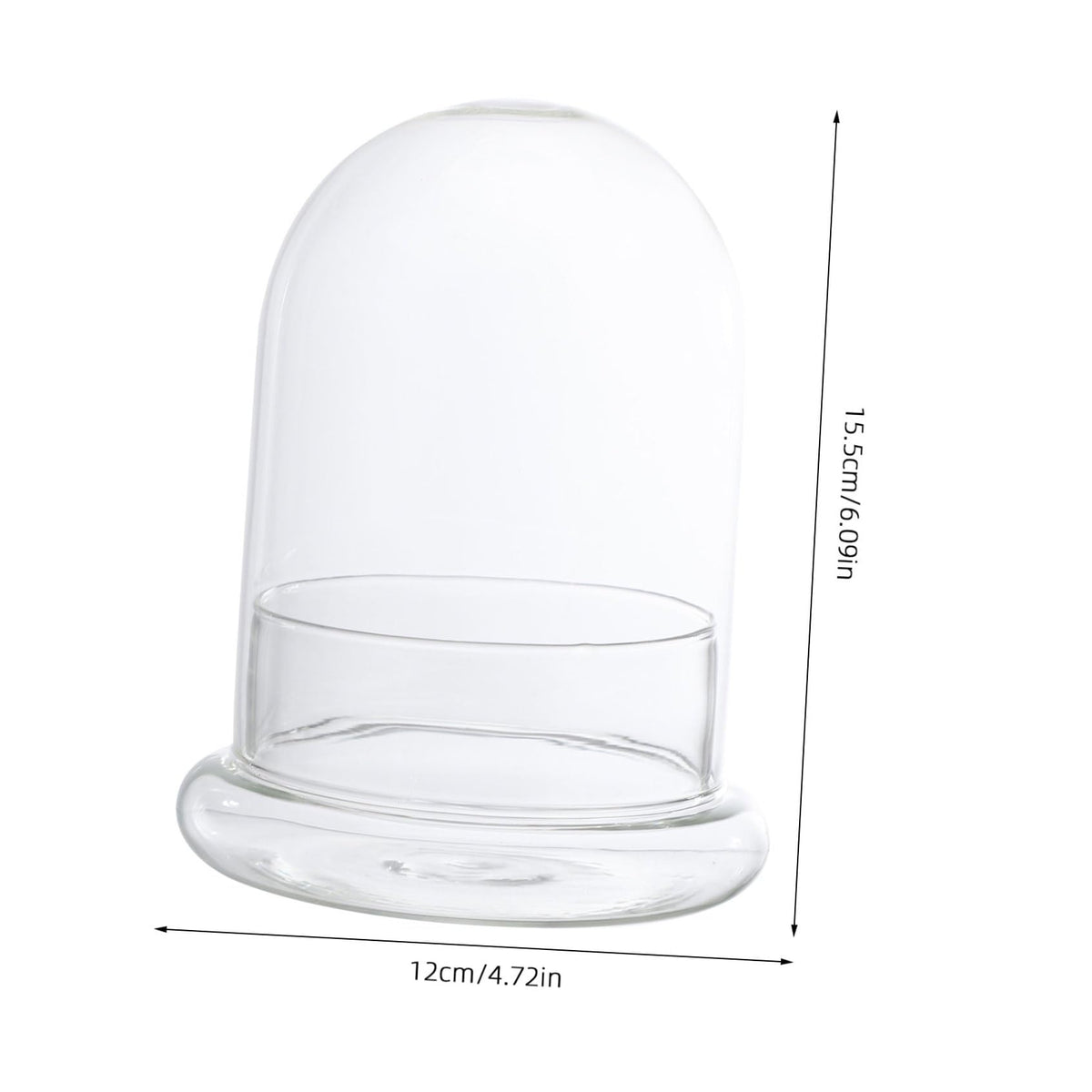 DOITOOL Decorative Glass Terrarium Jar with Ecological Bottle Moss for Home and Office D Cor Clear Glass Cloche Bell Jar for Diy Micro Landscape and Display 6 Inch Height