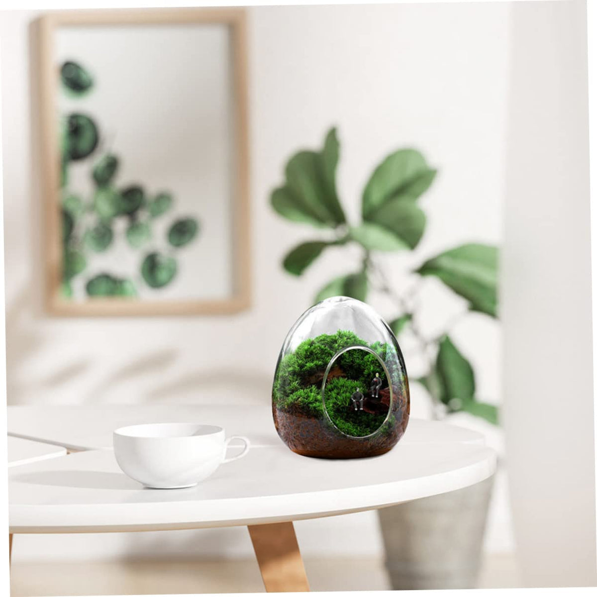 BESPORTBLE Glass Plant Bottle Decorative Micro Landscaping Air Plant Terrarium for Home