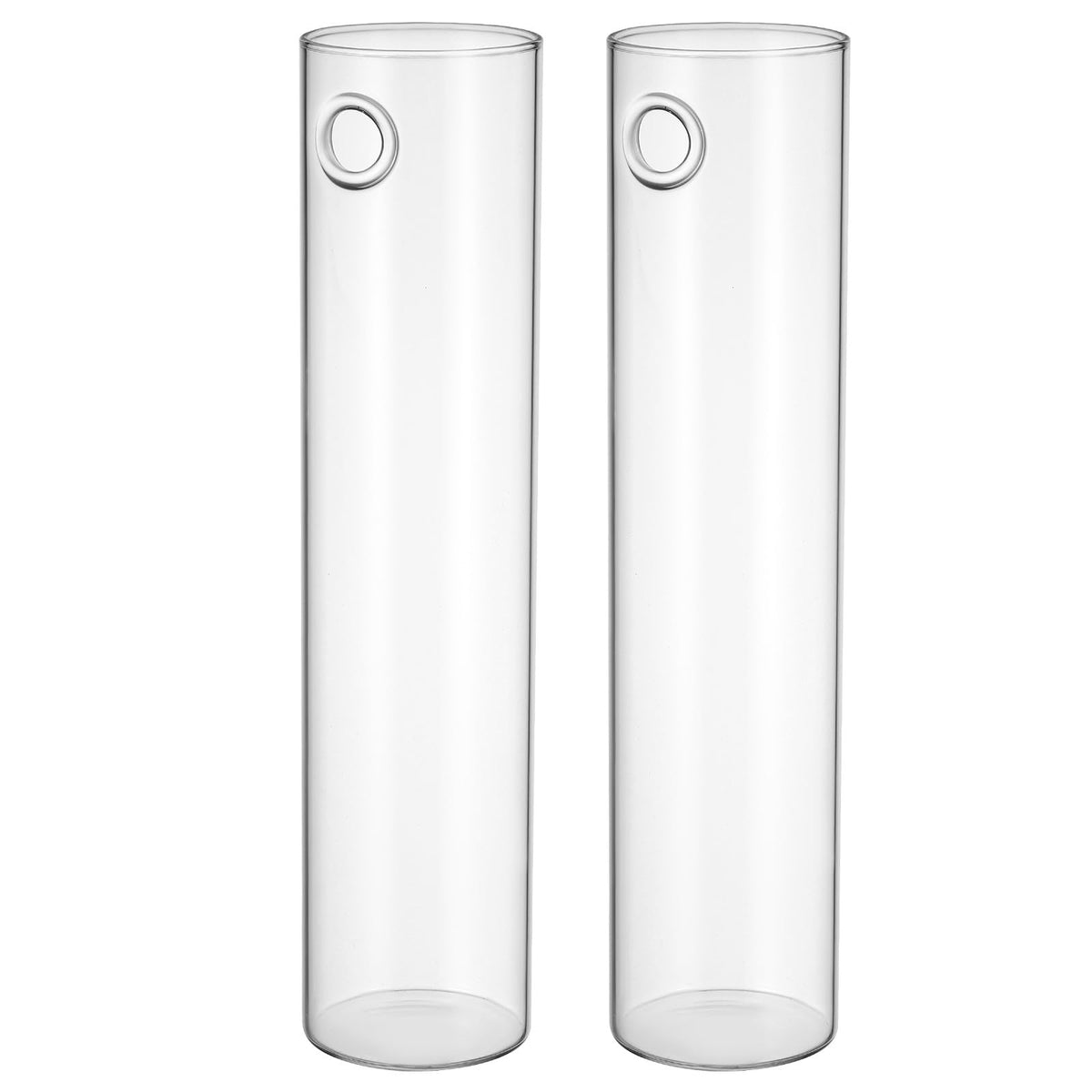 PRETYZOOM Wall Vase for Flowers Hanging Indoor Plants Holder Glass Cylinder Hydroponic Planter Large Tube 2pcs Wall-Mounted Terrarium for Home Décor