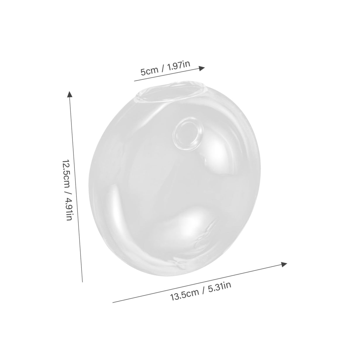 BIUDECO Wall Hanging Glass Terrarium Planter Stylish Hydroponic Flower Vase for Indoor Plants Transparent Design for Home Decor for Succulents and Plant Arrangements