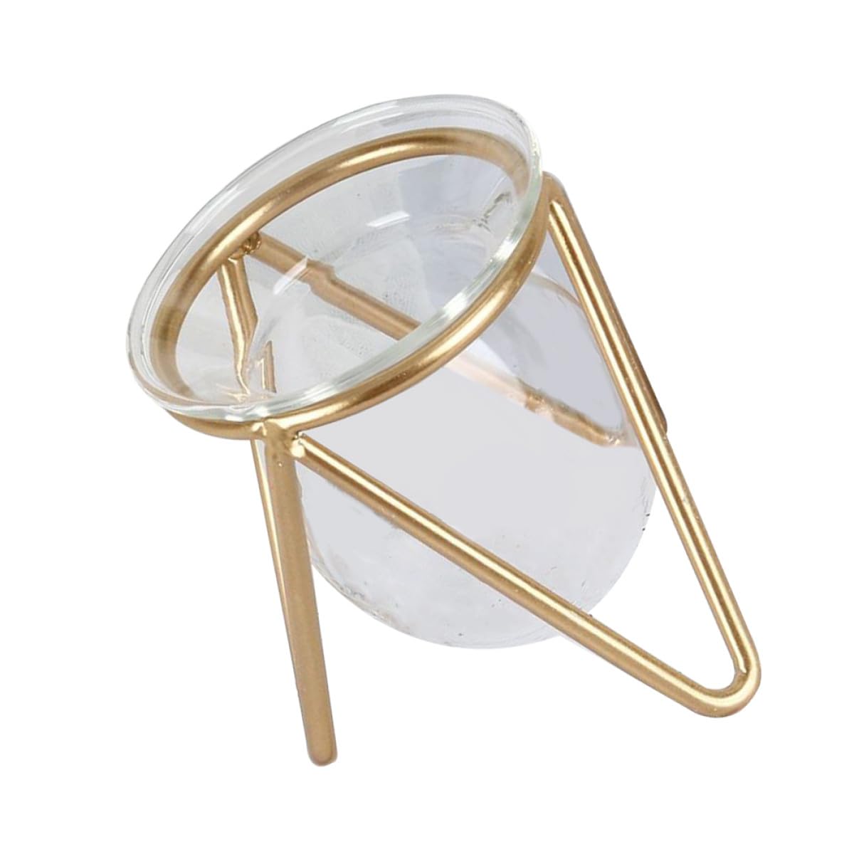 VICASKY Hydroponic Glass Plant Container with Metal Stand, Small Gold Desktop Flower Vase for Air Plants and Terrarium Décor, Glass Hydroponic Pot for Wedding and Office Use