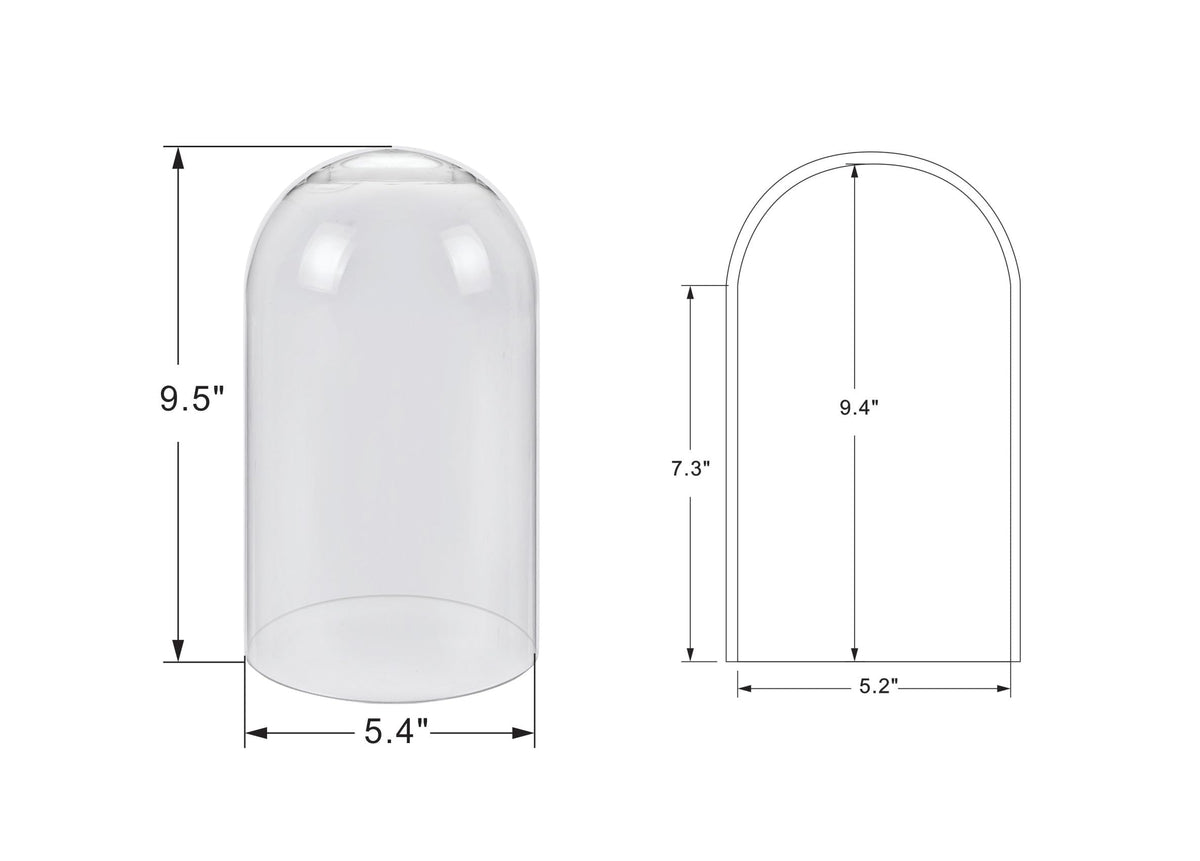 10" Tall Clear Glass Display Cloche, Dome Shape for Terrarium, Plants, Trinkets, Cakes, Figurines, LED Light String, Candle. Cloche Glass Dome, Bell Jar Display Case (1, 5.5"x10")