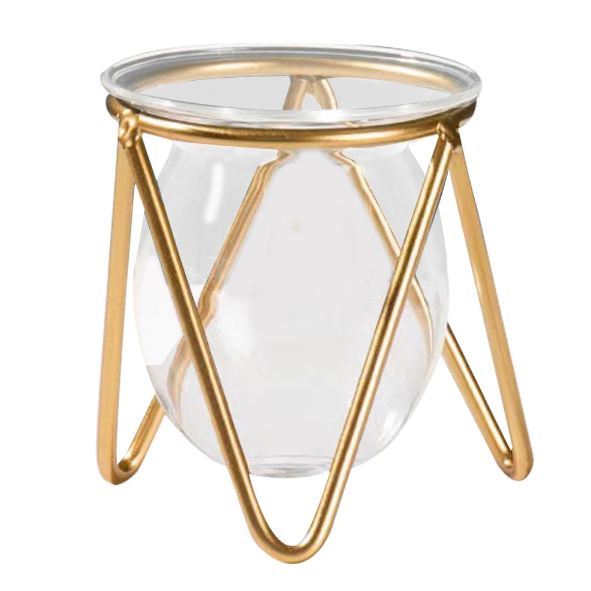 Zerodeko Glass Flower Vase with Metal Stand, Short Gold Hydroponic Plant Holder for Desktop Terrarium and Propagation, Glass Plant Pot for Home and Office Décor