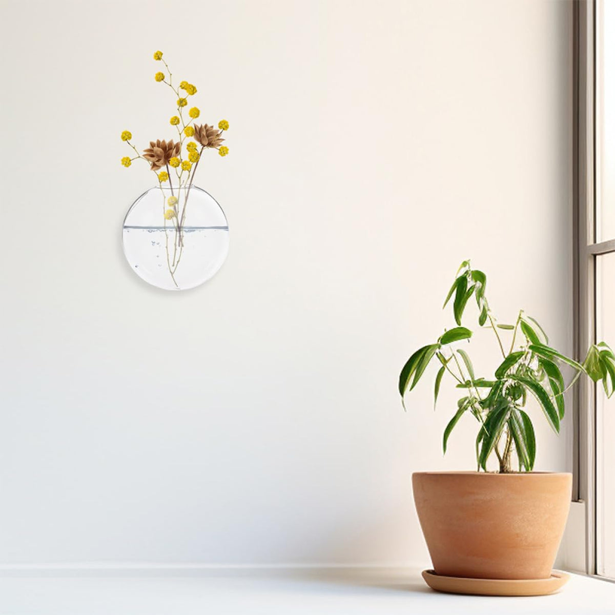 Ciieeo 4pcs Unique Hydroponic Vase Wall Planter Glass Terrarium Jar Modern Vase for Indoor Plants Wall Decor