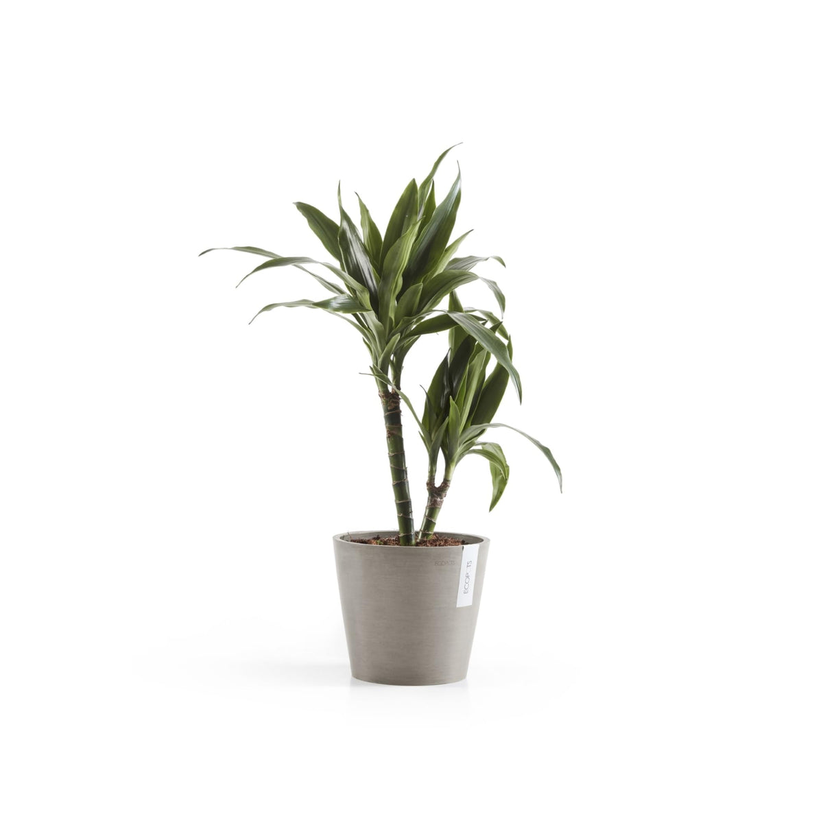 Ecopots Amsterdam Durable Modern Round Indoor/Outdoor Recycled-Based Composite Flower Pot Planter, Taupe, 8"