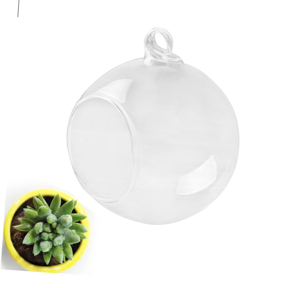Cabilock 4pcs Hanging Glass Terrarium Shape Container for Plants Home Decor Wedding Decoration Flat Base Design