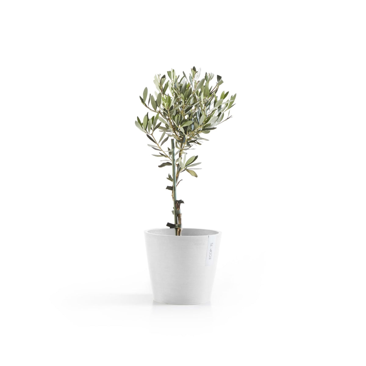 Ecopots Amsterdam Durable Modern Round Indoor/Outdoor Recycled-Based Composite Flower Pot Planter, Pure White, 8"