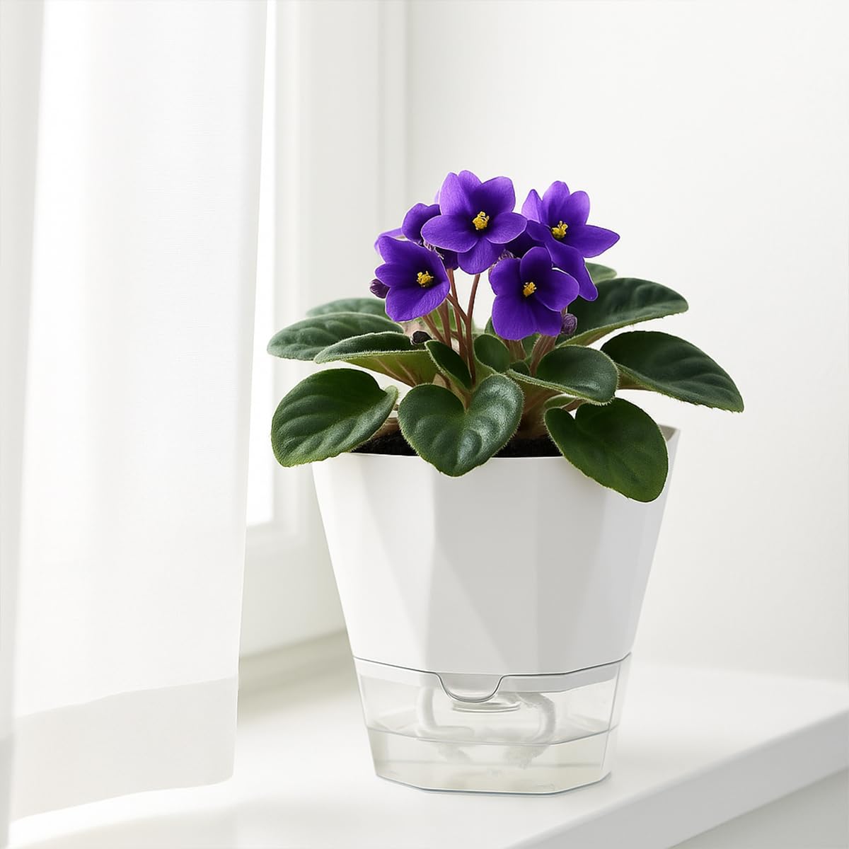 6 Pack Self Watering Plant Pots 6 Inches Self-Watering Planters for Indoor and Outdoor Plants African Violet Succulent Pots Clear Pot for Plants Large Herb Orchid Flower Houseplant Plant, White