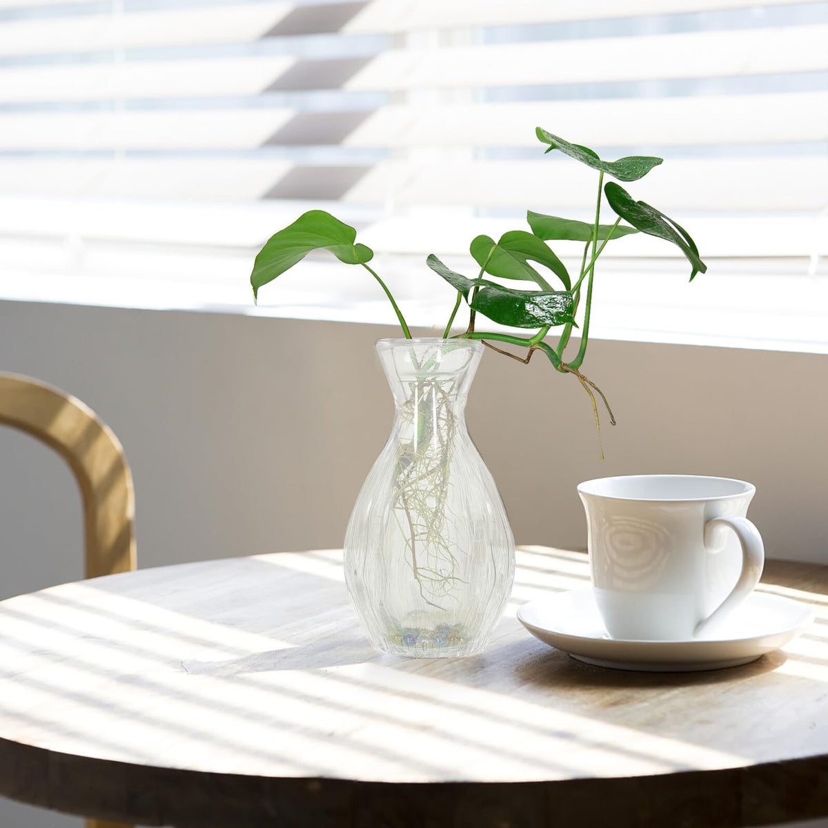 ORFOFE 4pcs Hydroponic Glass Flower Vases Small Decorative Terrarium Bottles for Home Desk Office Plant Propagation