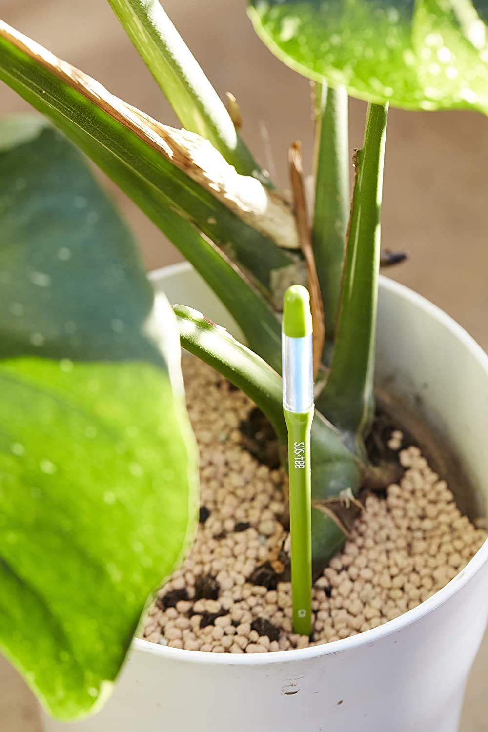 Sustee Aquameter (Small White Refillable - Bundle of 2) - House Plant Soil Moisture Meter, Humidity Sensor Probe, Water Level Indicator - Best for Indoor Potted Plants