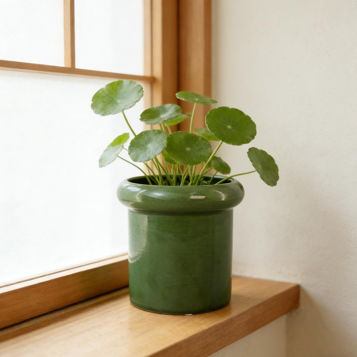 DJMKLCZTTKX Ceramic Flowerpot with Tray,Dark Green Home Decor Planters for Bedroom Balcony and Office,Ceramic Pots for Plants and Perennial Flowers for Housewarming