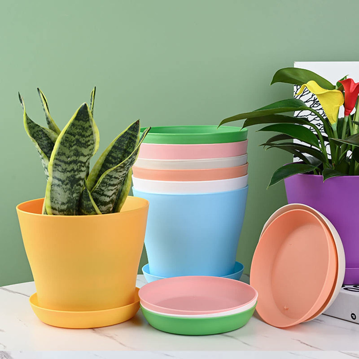 Tergy 50 Pack 4 Inch Plant Pots Bulk Small Plastic Planters Pots with Drainage Holes Flower Pot for Succulent, Cactus, Herb, African Violet (50pcs-Multicolor, 4Inches)