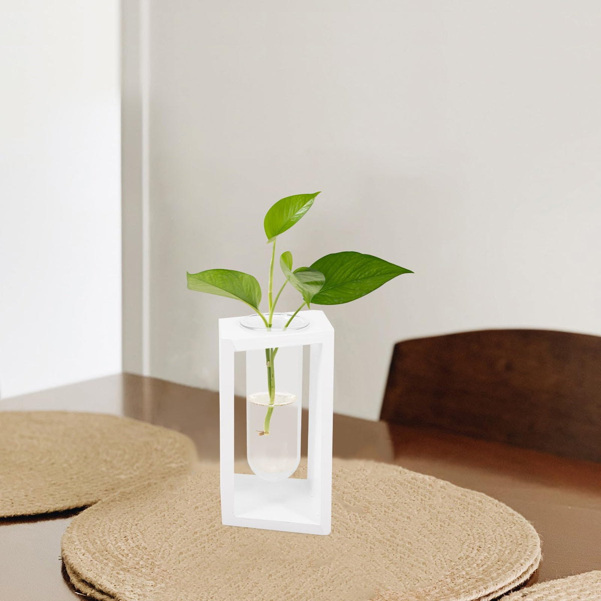 minkissy Test Tube Glass Vase with White Wooden Rack Small Hydroponic Plant Holder for Indoor Wall Garden Terrarium Home Décor