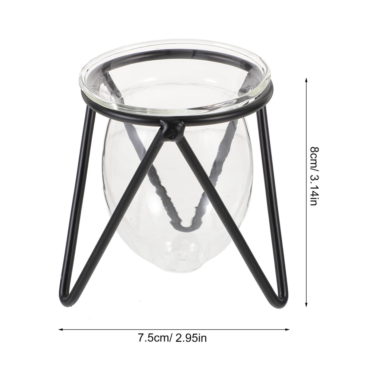 Ipetboom 6pcs Black Iron Art Hydroponic Glass Vases Small Terrarium Plant Holders for Home Decoration Desktop Water Containers