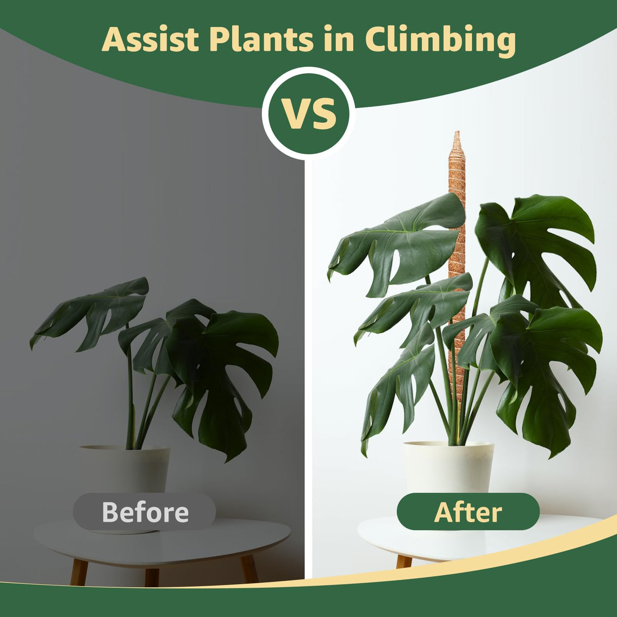 Vanut 3-Pack 48in Moss Poles for Monstera, Plant Supports for Indoor Plants, Pothos Vines, Philodendron, Fishbone Cactus & Indoor Tropical Houseplants, Made for Coco Coir