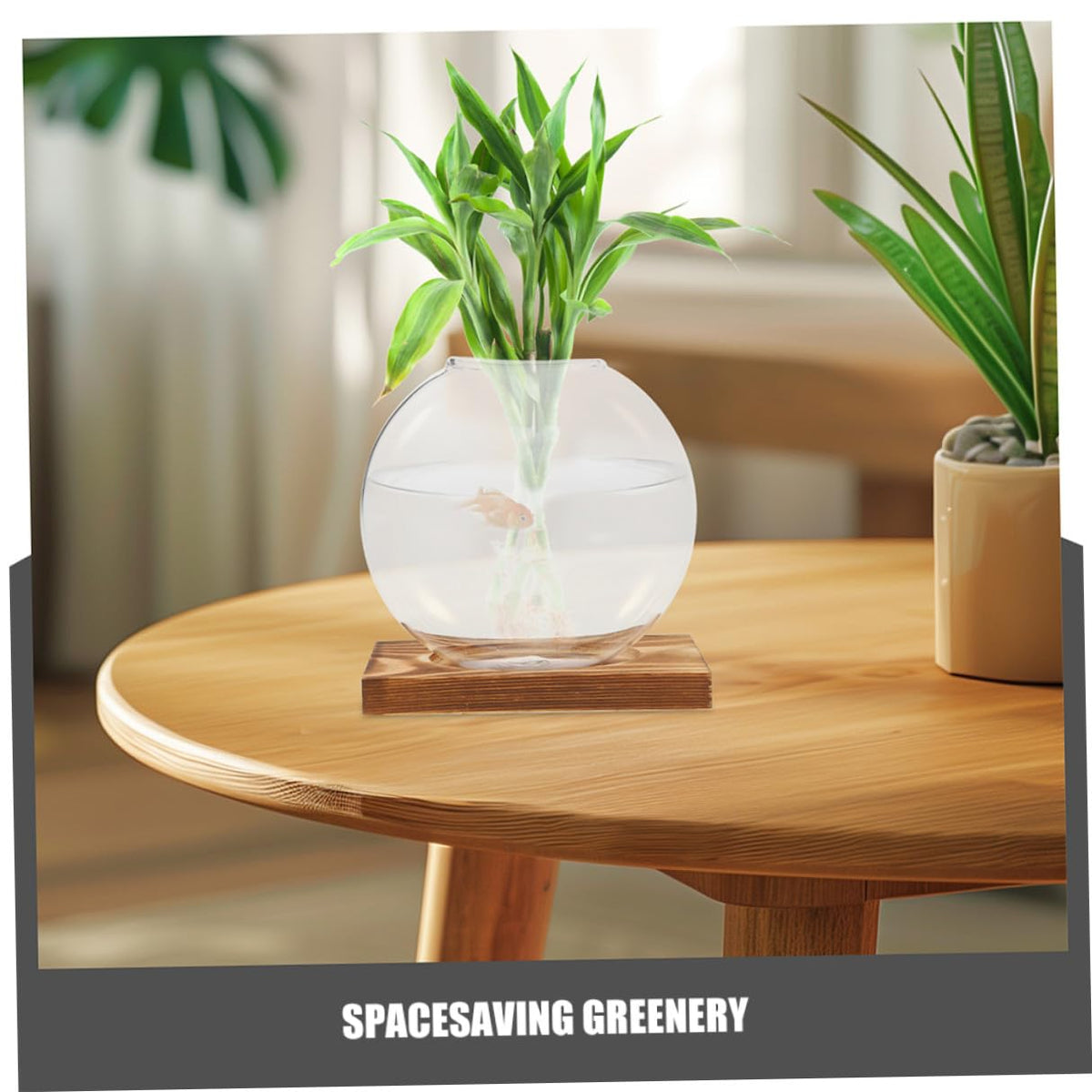DEARMAMY 2pcs Glass Propagation Vase with Wooden Base, Indoor Hydroponic Plant Planter, Desktop Terrarium for Greenery, Home Office Shelf Decoration