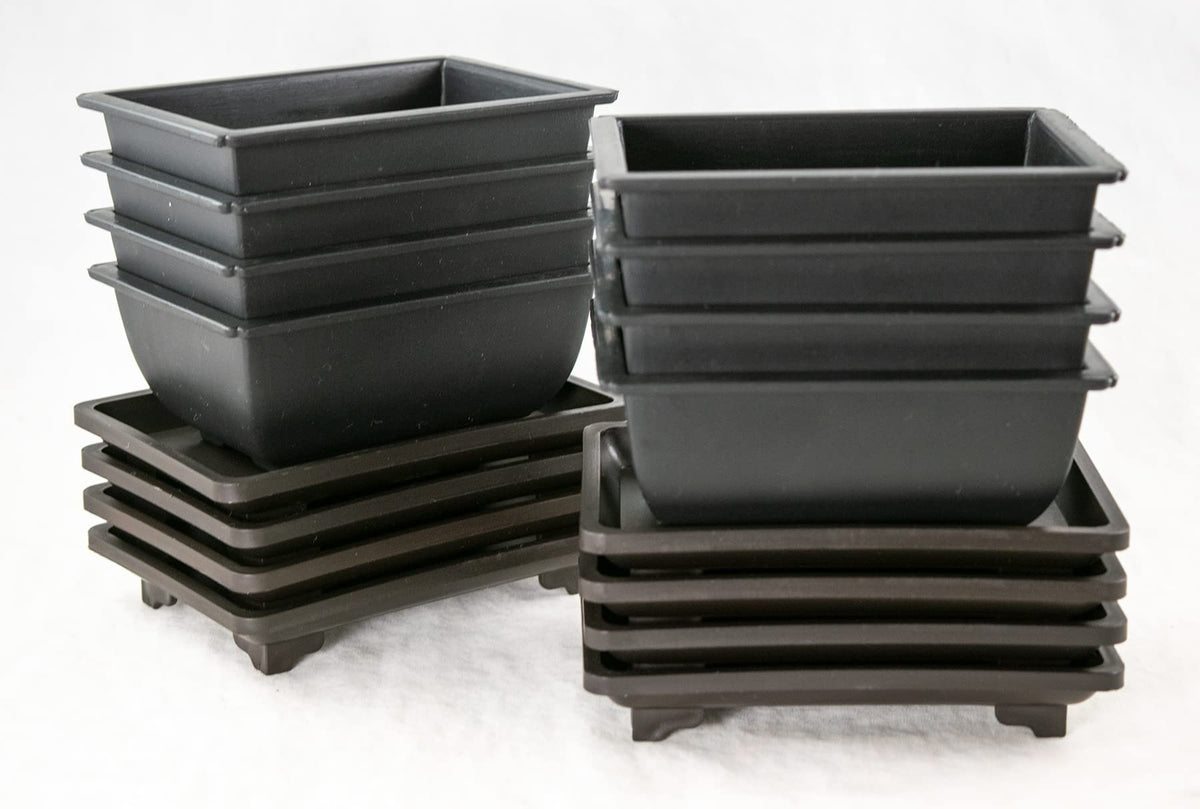 8 Sets Rectangular Plastic Shohin Bonsai Training Pot, Cactus & Succulent Planter + Tray 5 inches x 3.5 inches x 2 inches , Black