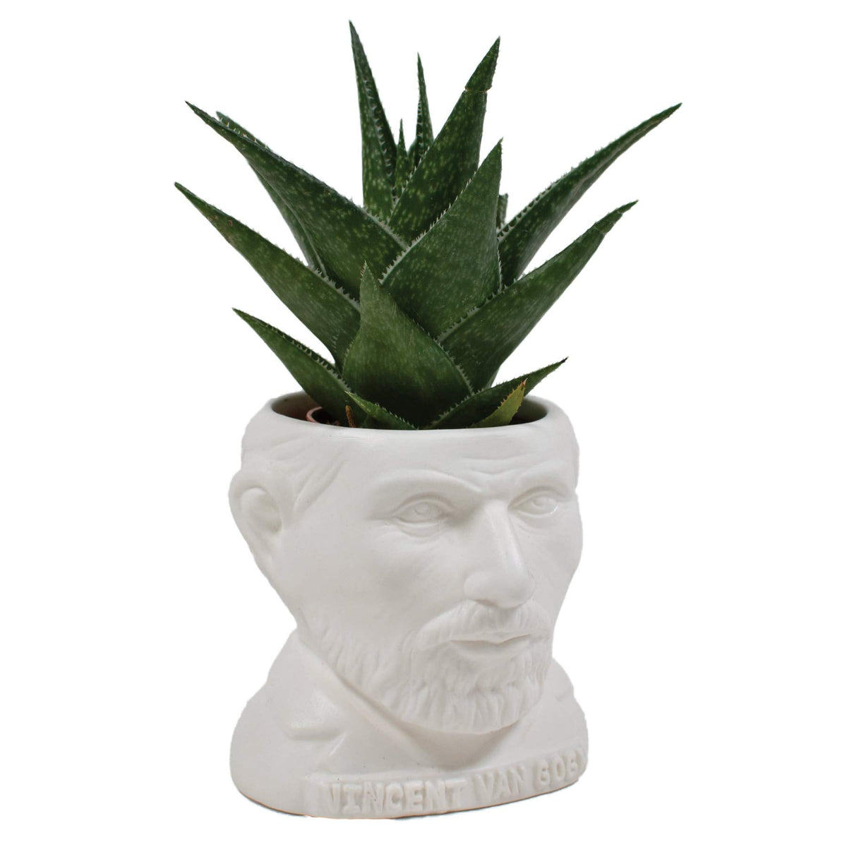 The Unemployed Philosophers Guild Vincent Van Gogh Bust Ceramic Planter