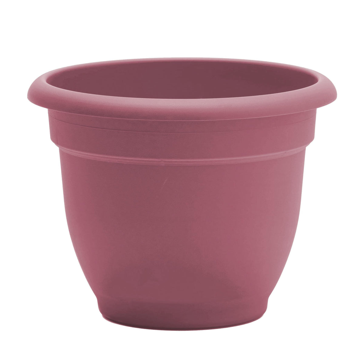 Bloem Ariana 12" Self-Watering Plastic Planter - Rolled Rim Indoor/Outdoor Garden Pot, Dusty Rose, 2-Pack