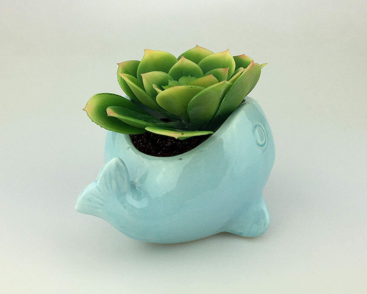 VanEnjoy 5" Ocean Blue Whale Ceramic Succulent Pot, Medium (3.86 x 4.64 x 2.87 inches), Indoor Use