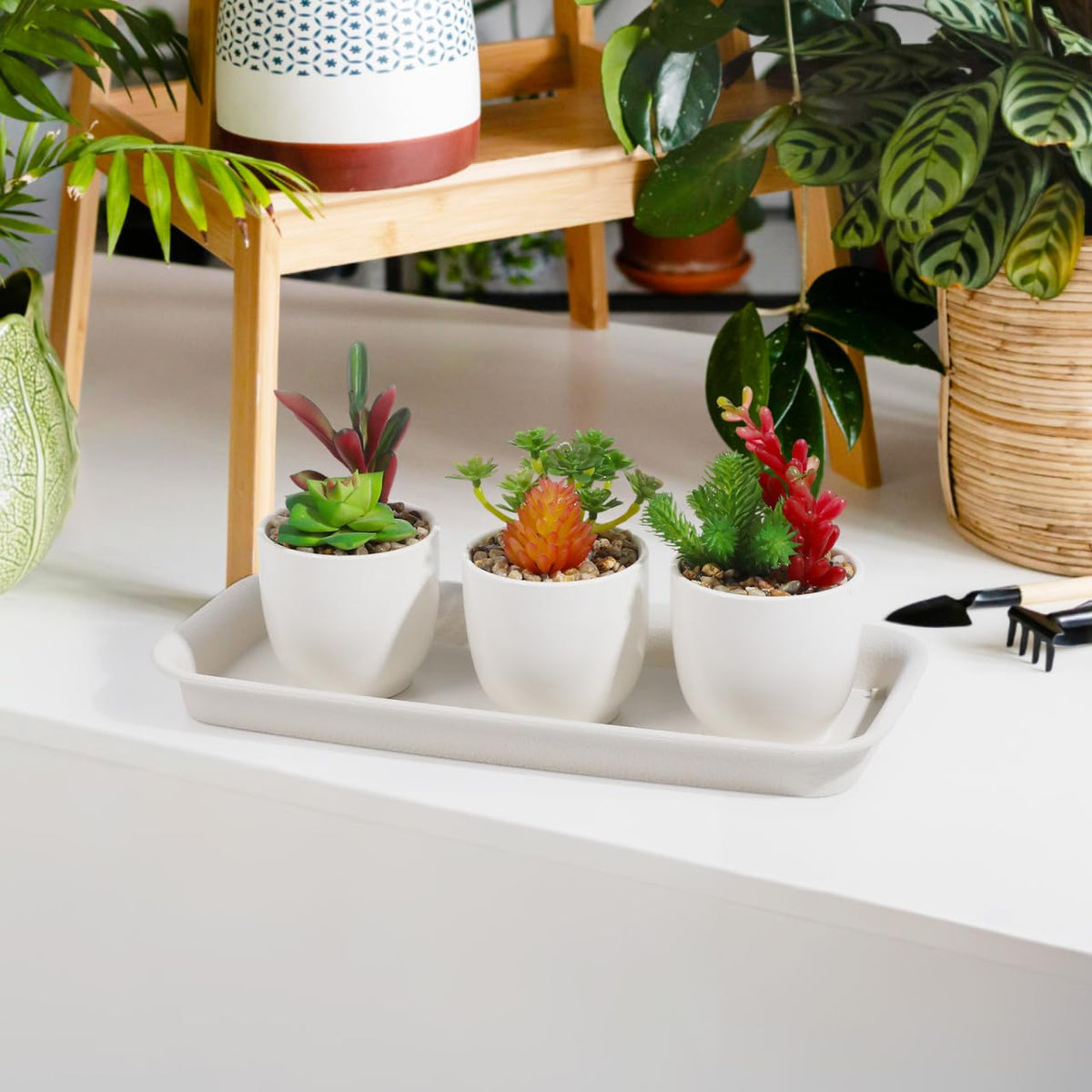 Alasum 5-Pack Beige Rectangular Plant Drip Trays - Durable Plastic Flower Pot Saucers for Windowsill Bonsai and Potted Plants - Water-Saving and Breathable Drainage Catch Trays for Indoor and Outdoor