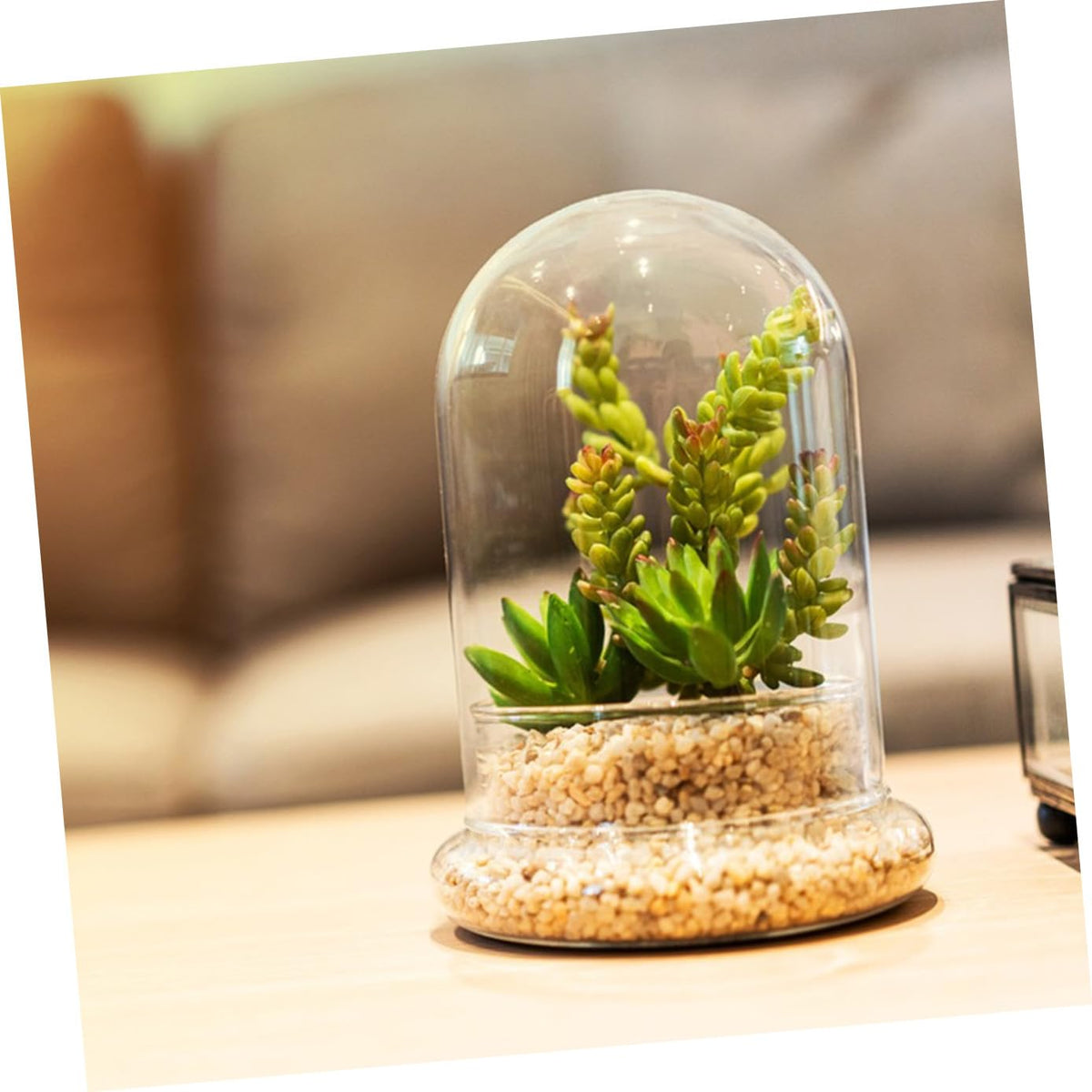 IMIKEYA Glass Moss Bottle for Terrarium Propagation Planters Plant Accessories Indoor Decor Fairy Garden Kit