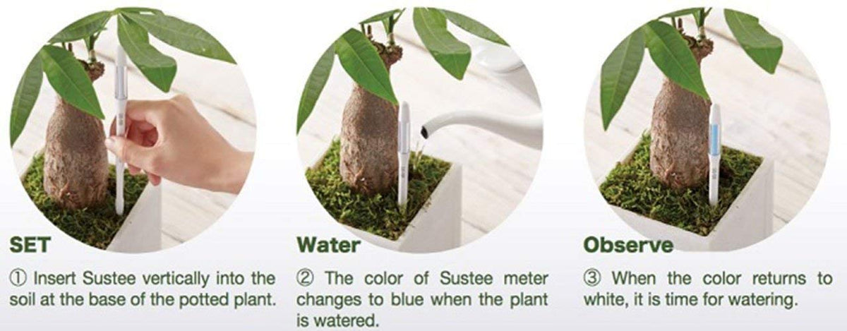 Sustee Large Refillable Insert Aqua Meter (Green) with Core Installed + 2 Additional Large Cores - Plant Moisture Sensor For Potted Plants