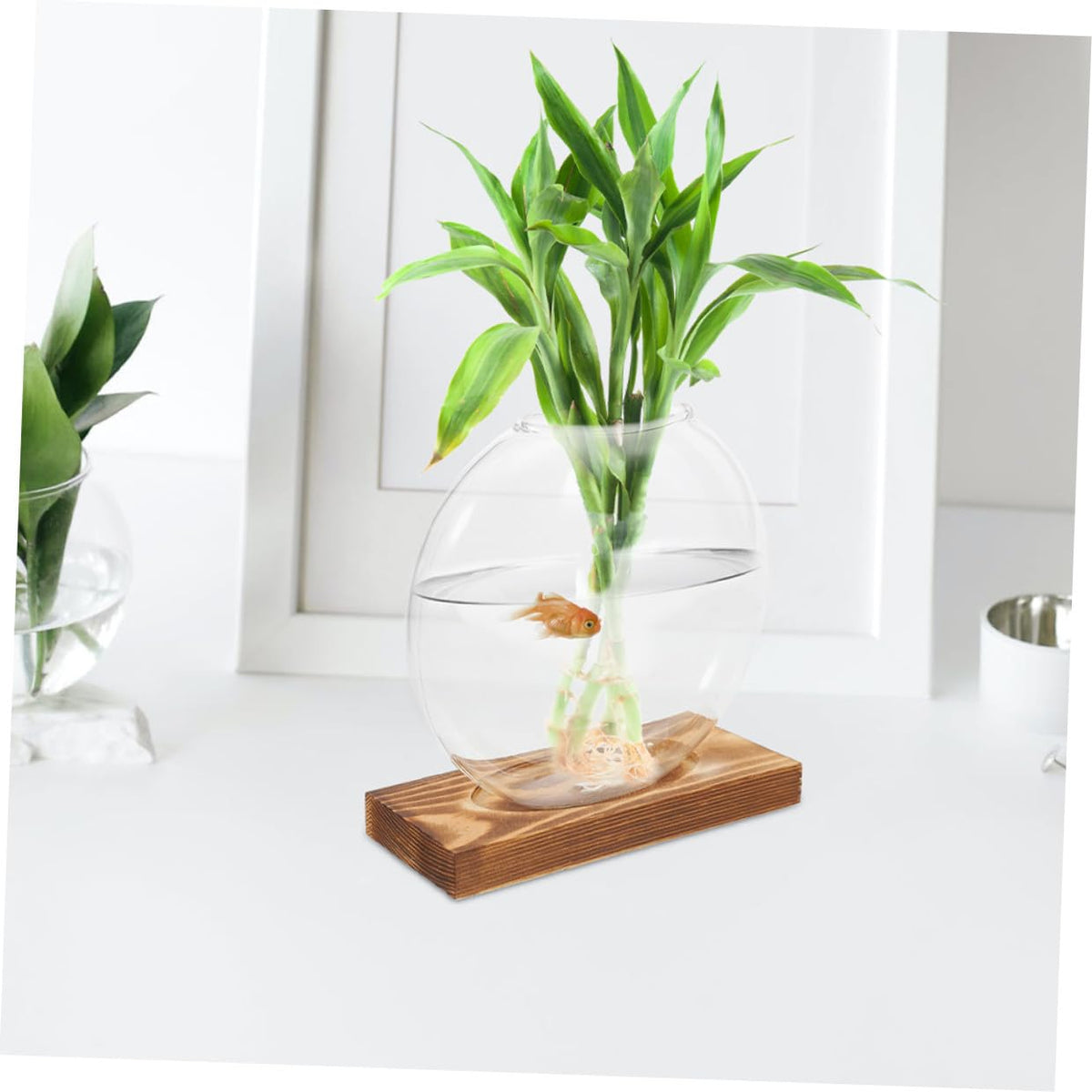 DOITOOL 2pcs Hydroponic Plant Glass Vases with Wooden Base, Small Propagation Jars for Indoor Greenery, Retro Style Desk Flower Pots for Home Office Décor
