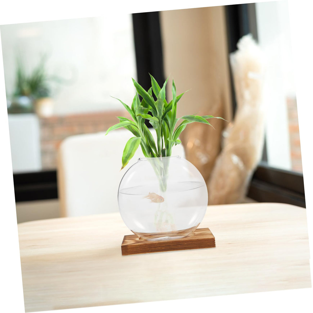 SEWOART Rustic Hydroponic Vase Glass Terrarium Bowl Indoor Greenery Decor Wooden Base Plant Propagation Station for Home Office