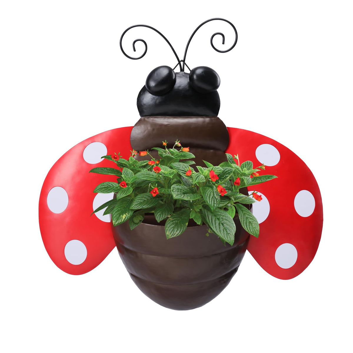 Chonsun Metal Wall Planter Ladybug Wall Mounted Planters Small Flower Pot with Drainage for Indoor Outdoor Farmhouse Hanging Planter Succulent Plant Container Vertical Garden Yard Decor