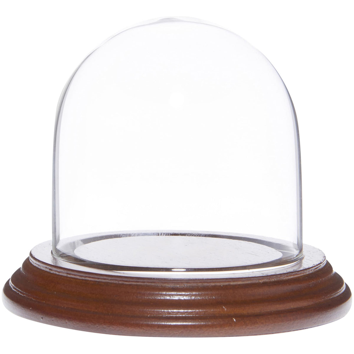 Plymor 3" x 3" Glass Display Dome Cloche (Walnut Veneer Base)