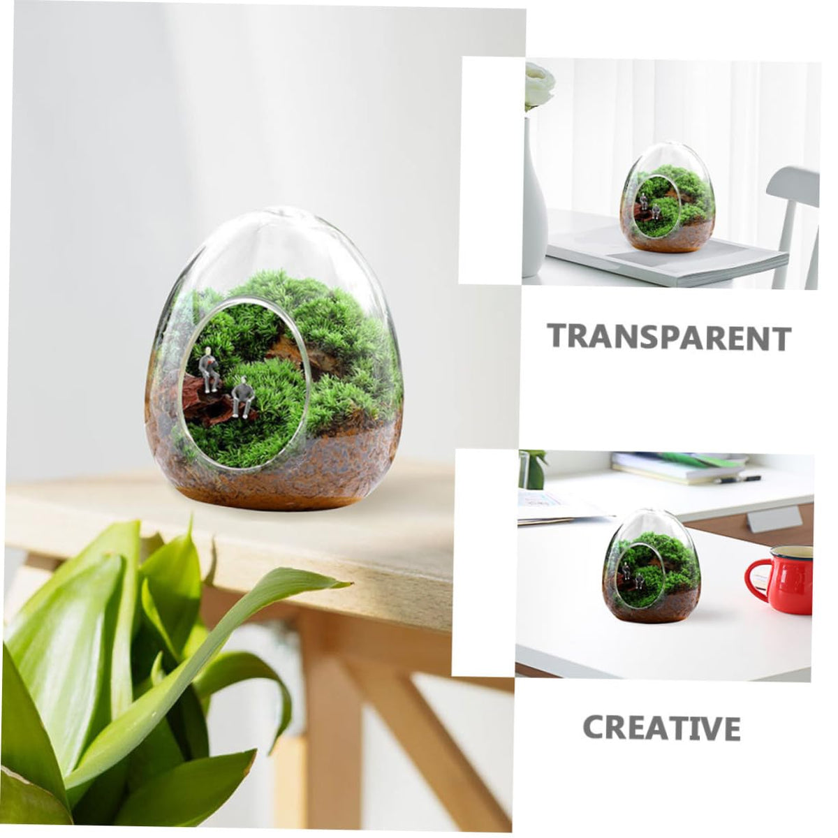 POPETPOP Glass Plant Propagation Station for Home Office Terrarium Supplies Eco Bottle