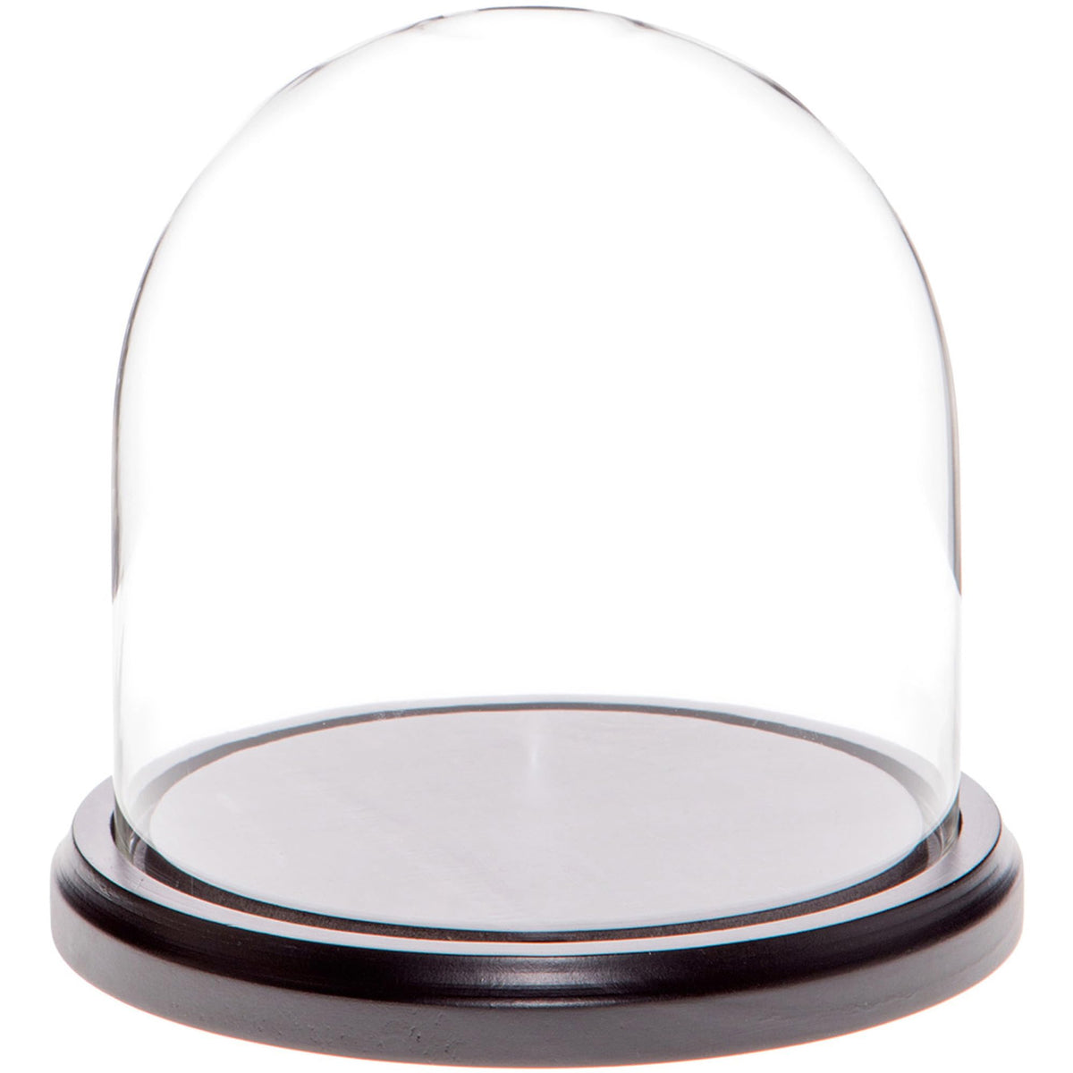 Plymor 5.5" x 5.5" Glass Display Dome Cloche (Black MDF Wood Base)