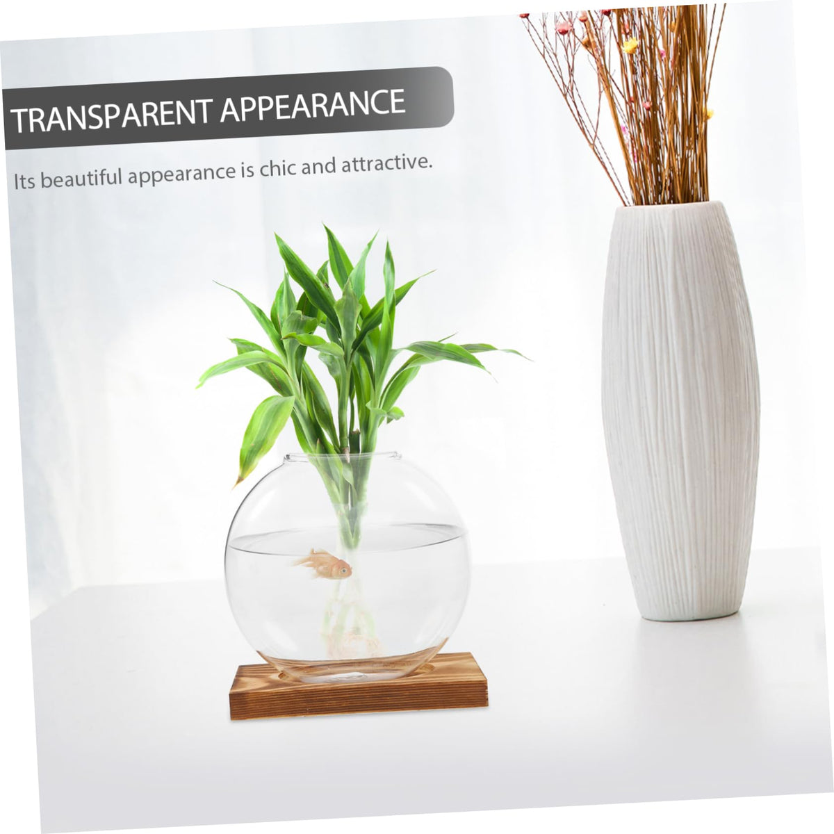 BESTonZON 1piece Modern Plant Decor Hydroponic Vase Glass Terrarium Jar Terrarium Container Creative Propagation Vase Plant Window