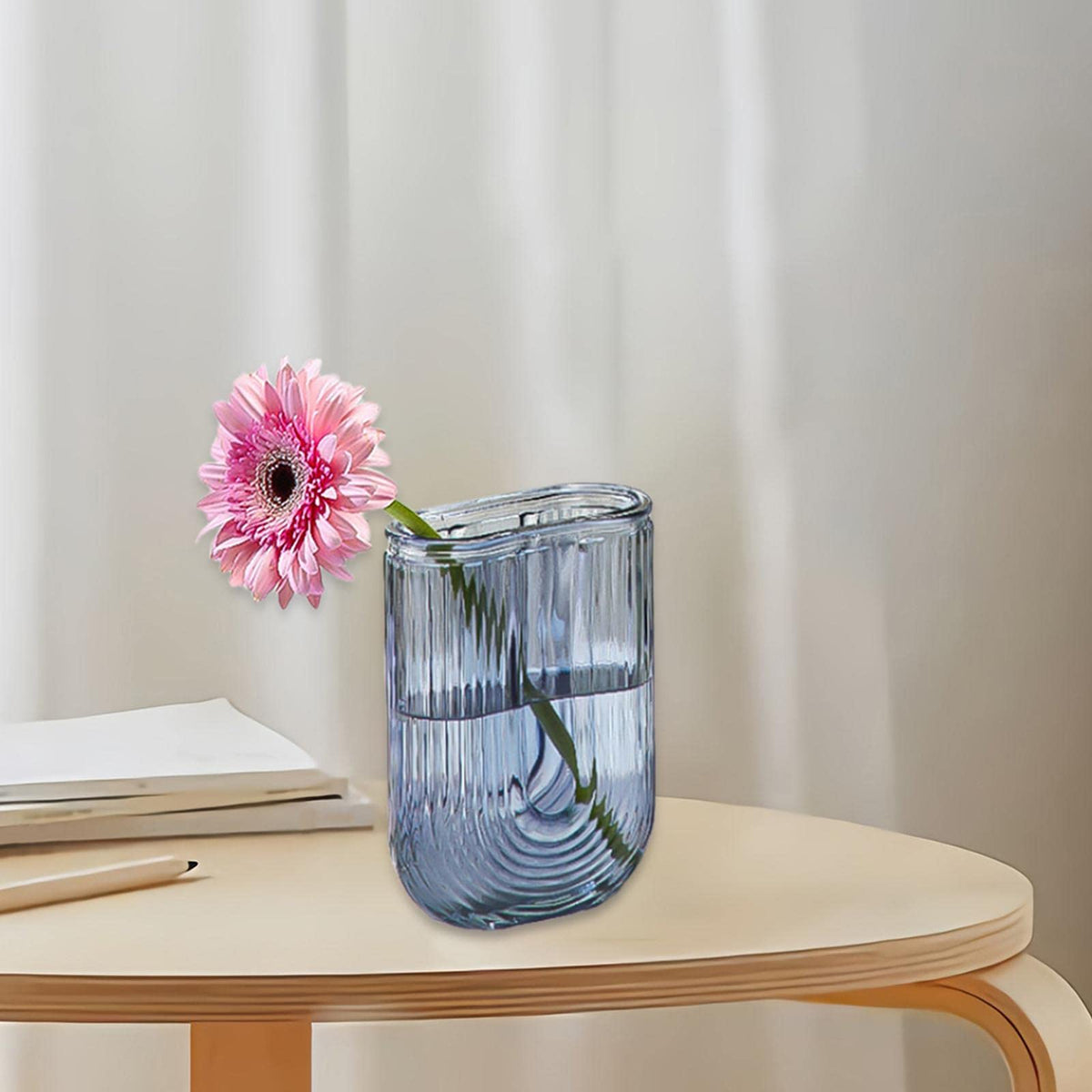 Duiaynke Glass Vase, Glass Ornament,Plant Vases Modern Terrarium Holder Display, for Dining Table Office Desktop Home Decor